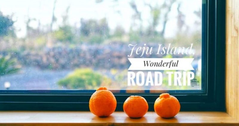 Jeju Island The Wonderful Road Trip