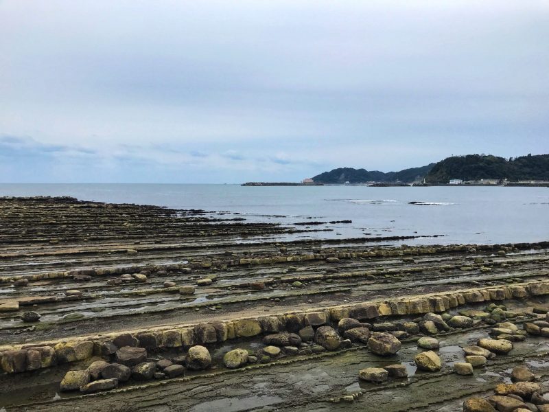 Travel to Japan: One Day Itinerary for Aoshima, Miyazaki - Kokoro Care Packages