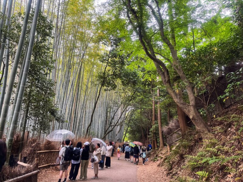 Arashiyama bamboo forest