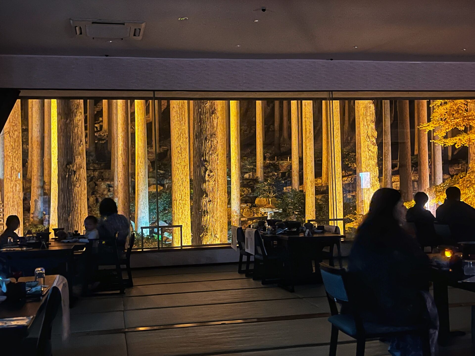 Atmospheric Dining Room at Kirishima Hotel