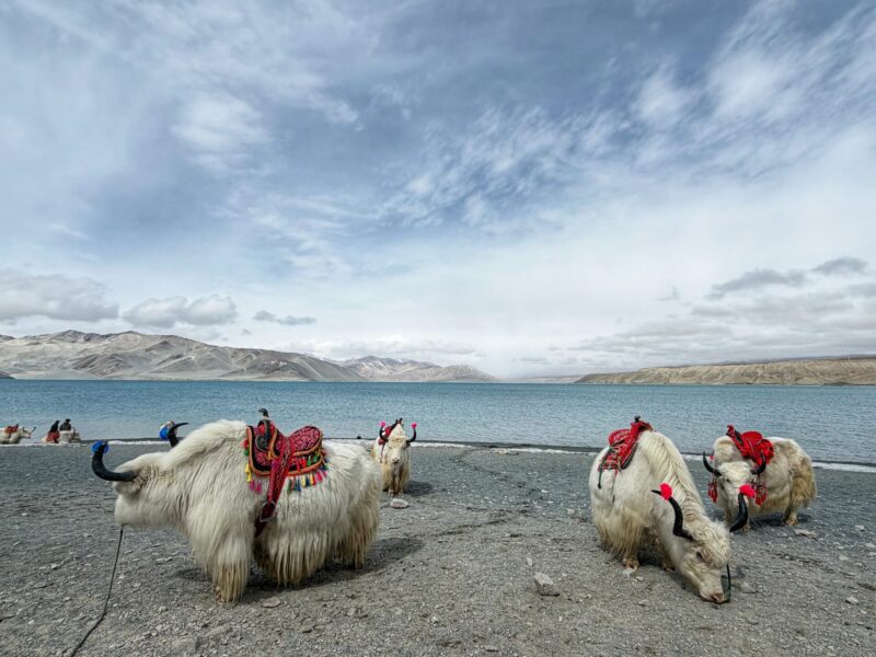 Baisha Lake and White Sand Mountain