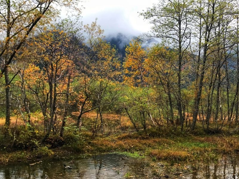 Beautiful View in Kamikochi