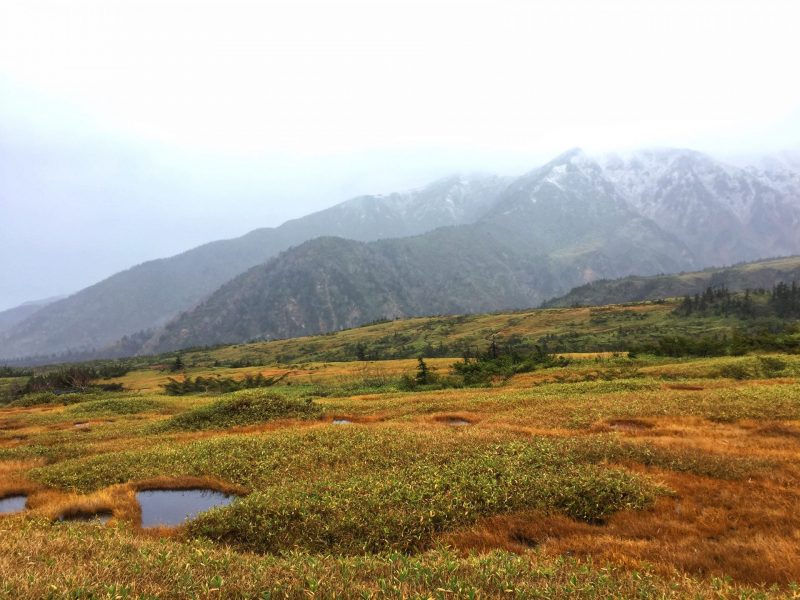 Beautiful View in Midagahara wetland