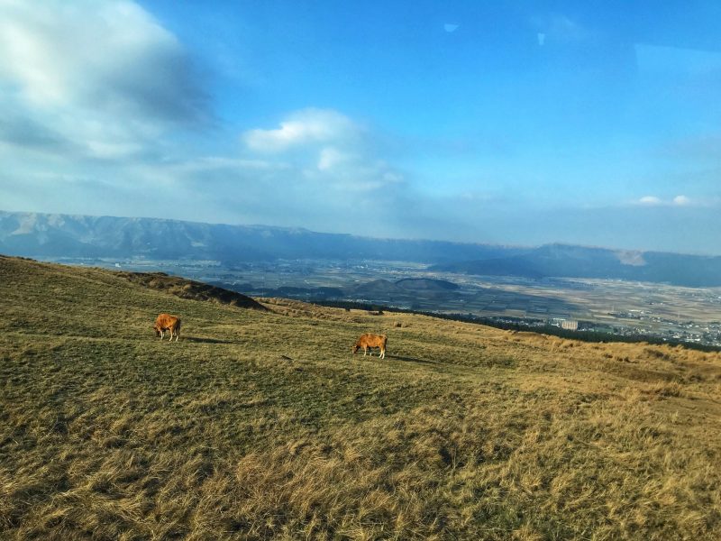 Beautiful View on Kusasenri