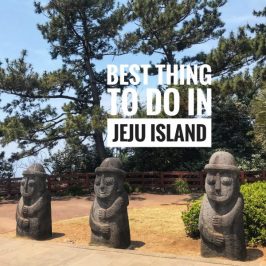 Best Things To Do in Jeju Island