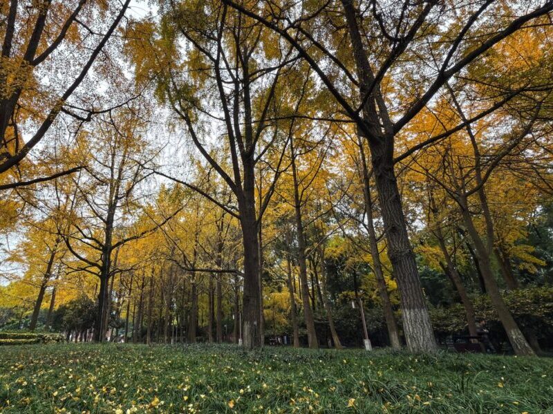 Best Time To Visit China