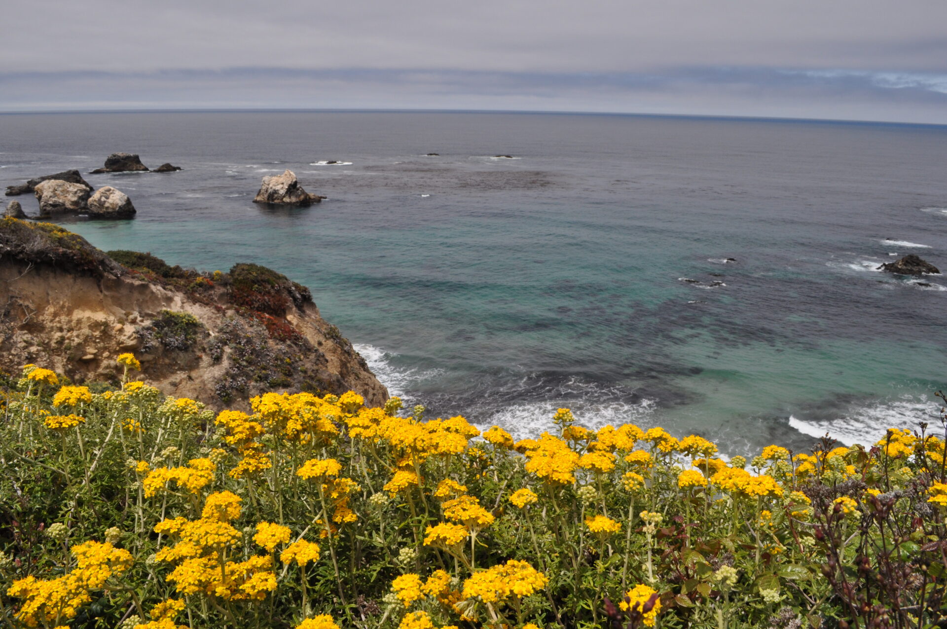 Big Sur Travel Guide Blog