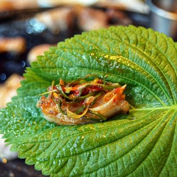 Jeju Must Eat: Dombedon Black Pork Restaurant