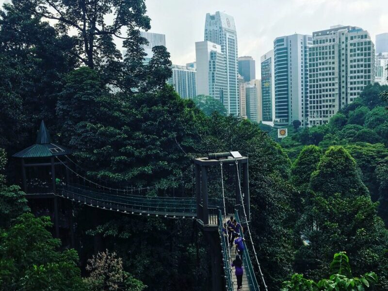 Canopy Walk in KL Forest Eco Park