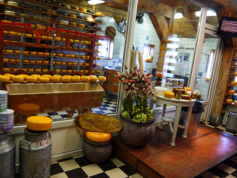 Cheese Tasting in Zaanse Schans