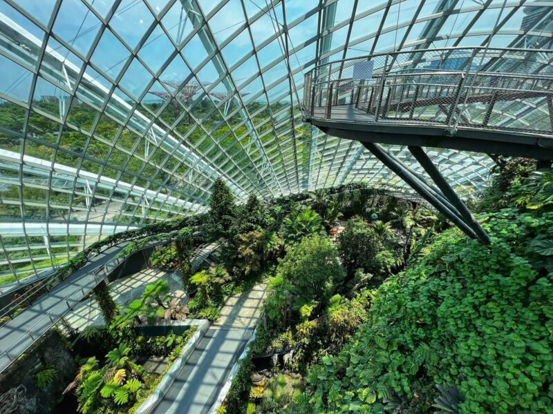 Cloud Forest - Tree Top Walk