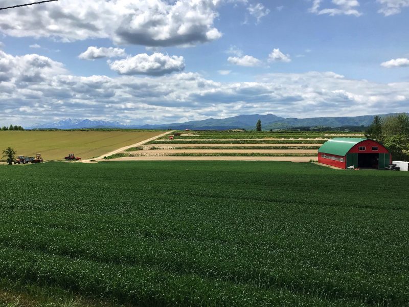 Countryside View at Biei