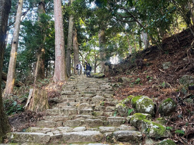 Daimonzaka Trail - Nachi Falls Itinerary