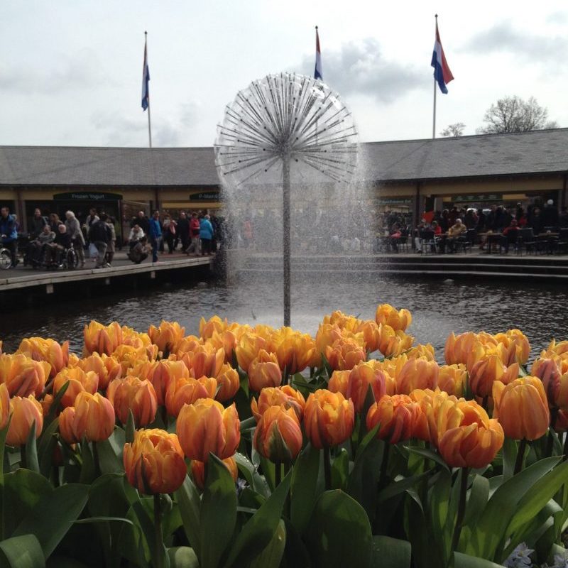 Day Trip from Amsterdam - Keukenhof