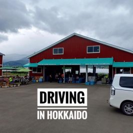 Driving in Hokkaido