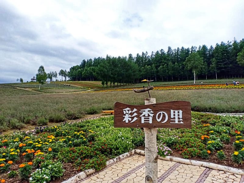 Driving in Hokkaido - Visit Furano