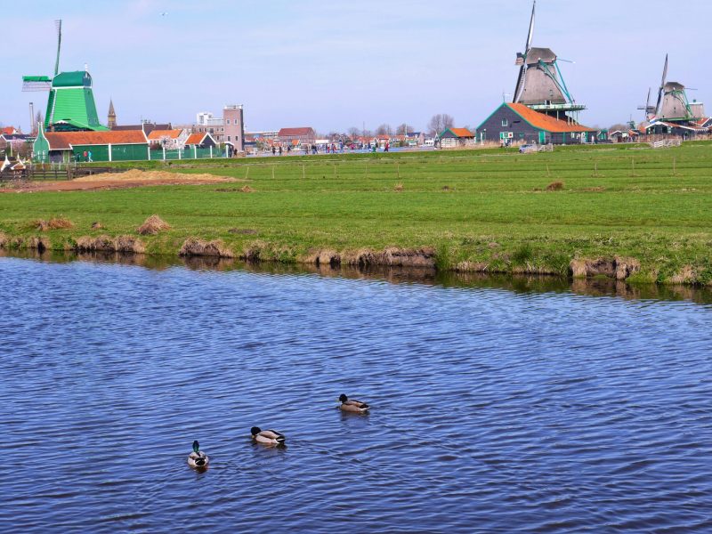 Dutch Village Scenery in Zaanse Schans