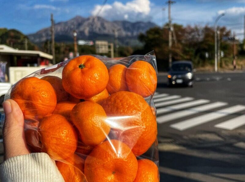 Eat Satsuma mandarins