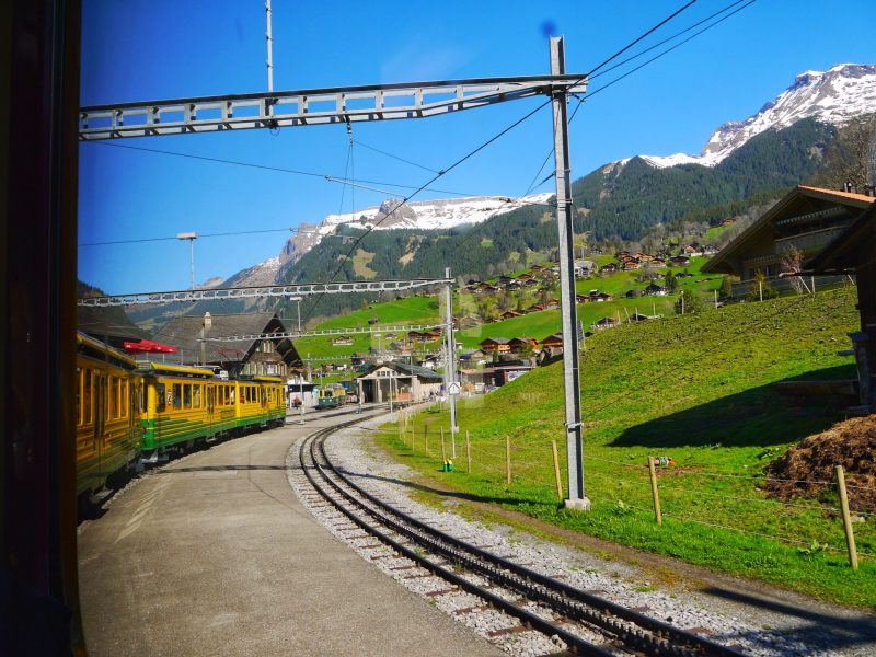 Enjoy the Breathtaking View along the Train Ride