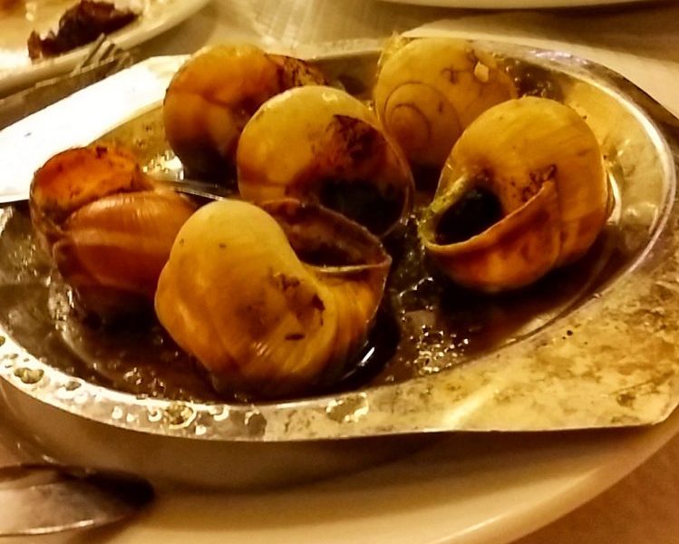 Escargot for Starter