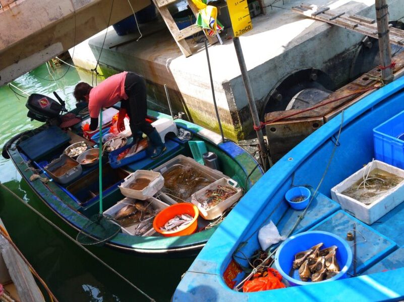 Fisherman in Tai O Village