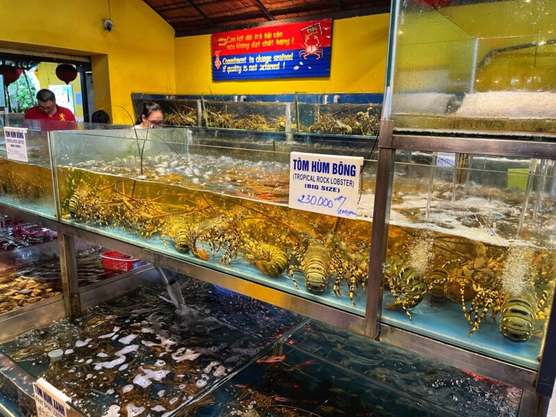 Fresh Lobsters - Moc Quan Seafood Restaurant