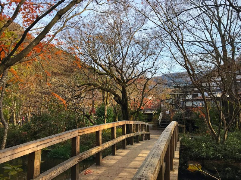 From Kinrin Lake To Yufuin Floral Village