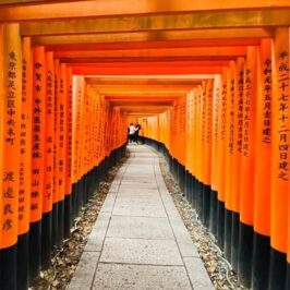 Fushimi Inari Shrine Travel Guide blog