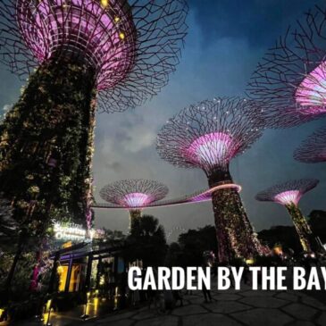 Gardens by the Bay Itinerary: A Travel Guide Blog