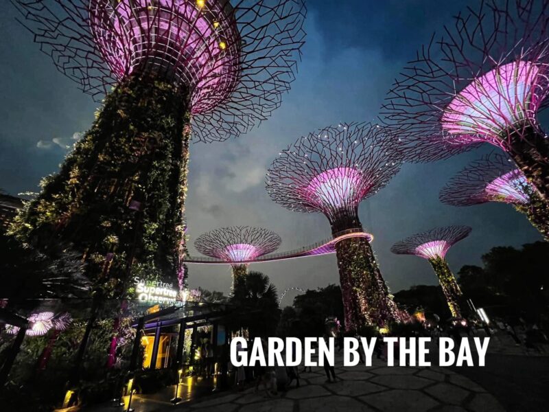 Garden By Bay itinerary Travel Guide Blog