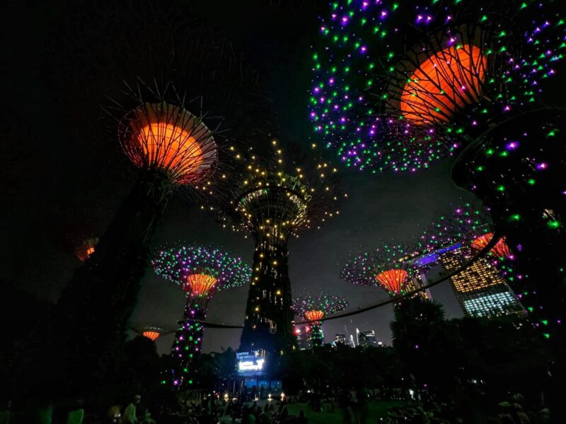 Gardens by the Bay Light Show