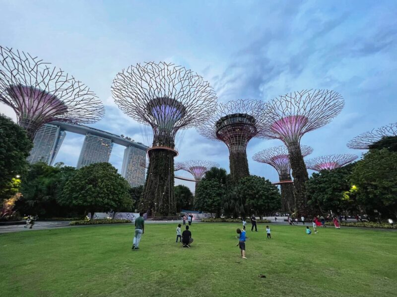Gardens by the Bay Travel Guide