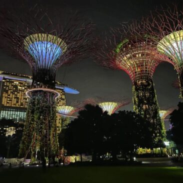 Gardens by the Bay at night