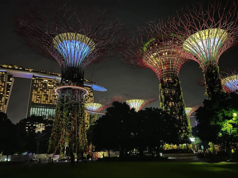 Gardens by the Bay at night