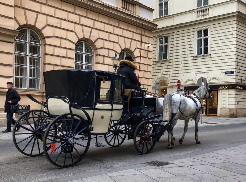 Getting Around In Vienna