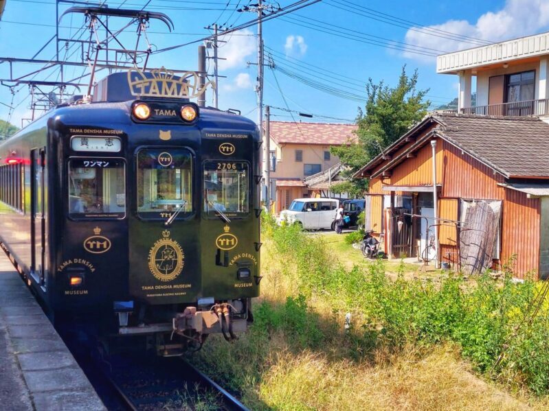 Getting Around in Wakayama by Train