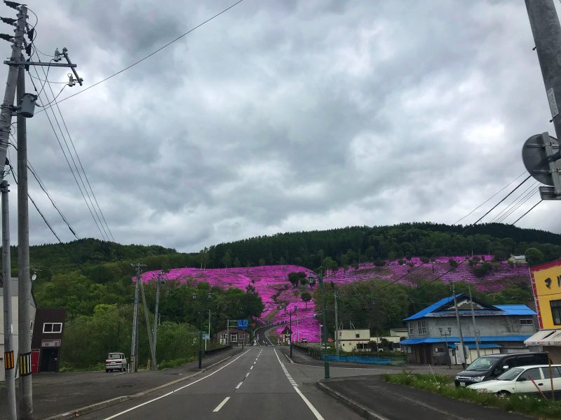 Getting To Takinoue Park by Public Transport