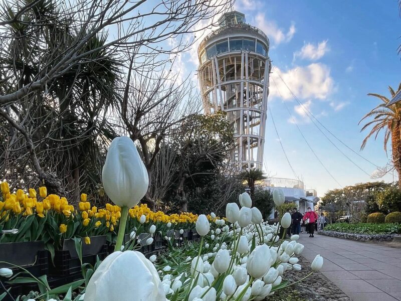 Getting to Enoshima Sea Candle Tower