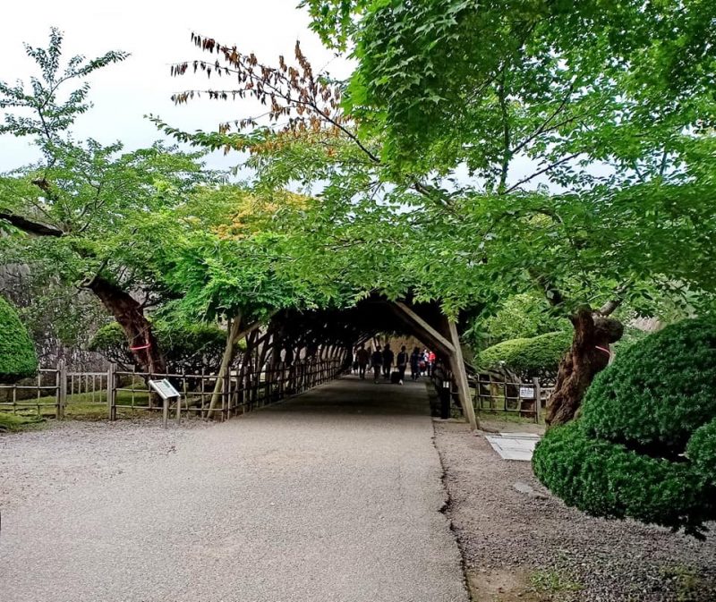 Goryokaku Park