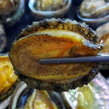 Myeongjin Jeonbok Fresh Abalone Feast: Jeju Must Eat