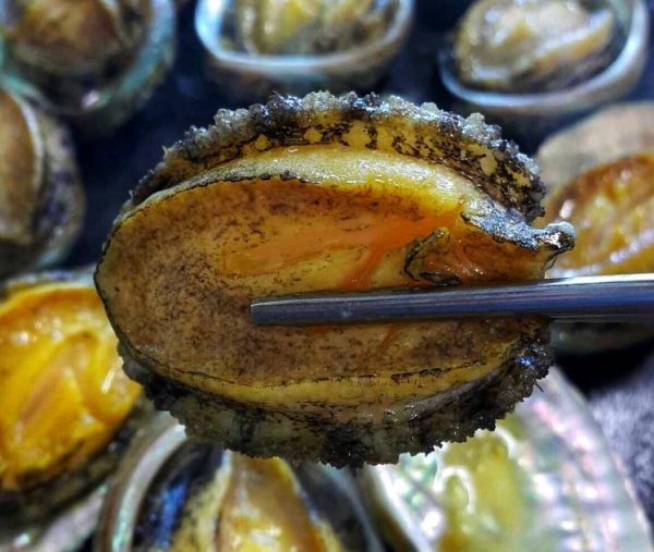 Myeongjin Jeonbok Fresh Abalone Feast Jeju Must Eat MyTravelBuzzg