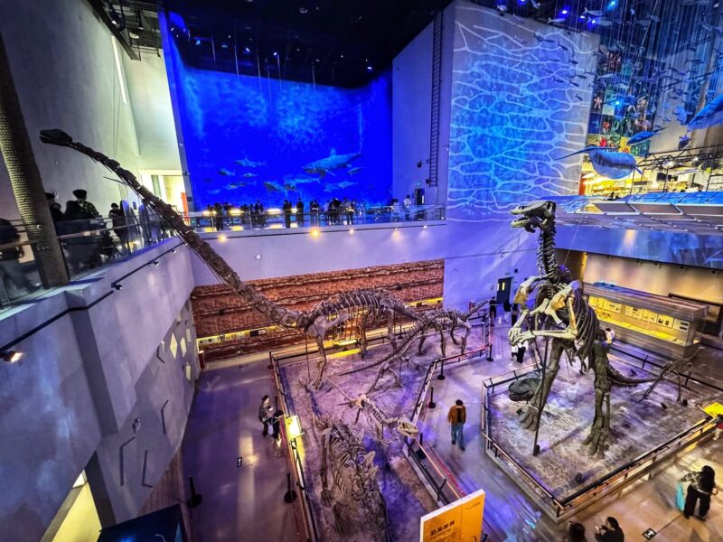Guangdong Museum Dinosaur Exhibit