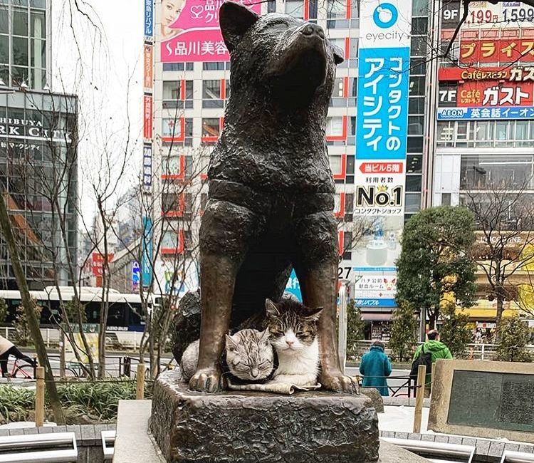 Hachiko Statue Shibuya Station