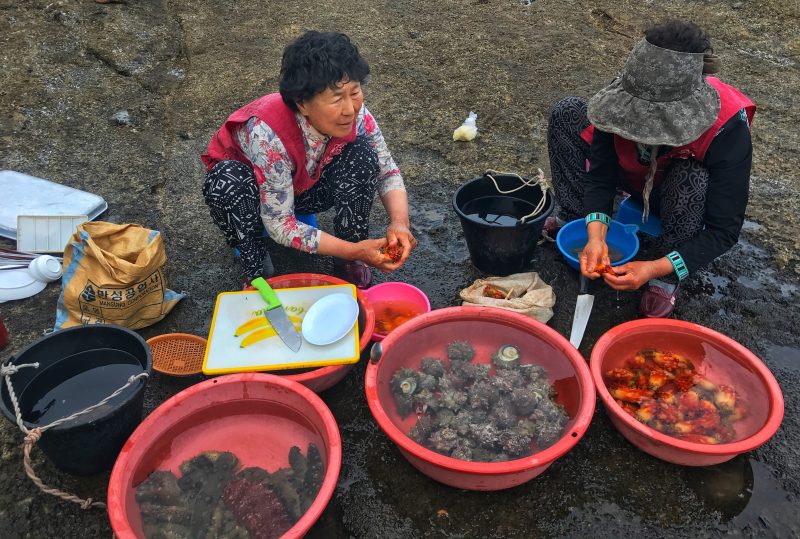 Haenyeo women sea-divers