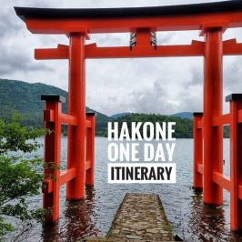 Hakone One Day Itinerary with Hakone Free Pass