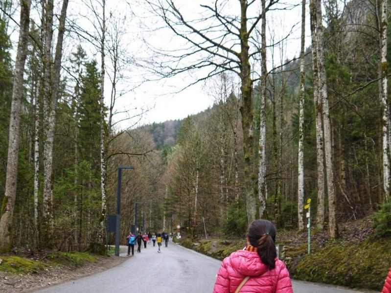 Hike Up To the Castle Entrance