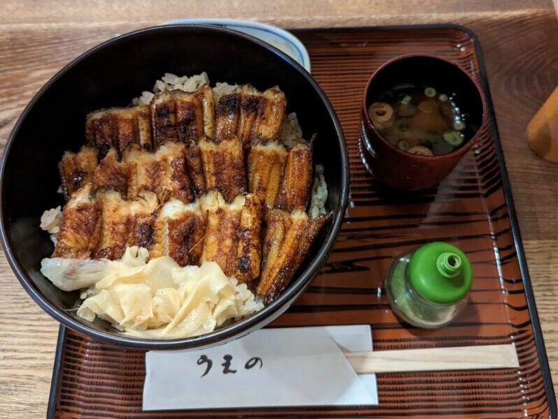 Hiroshima Food Guide - Anago