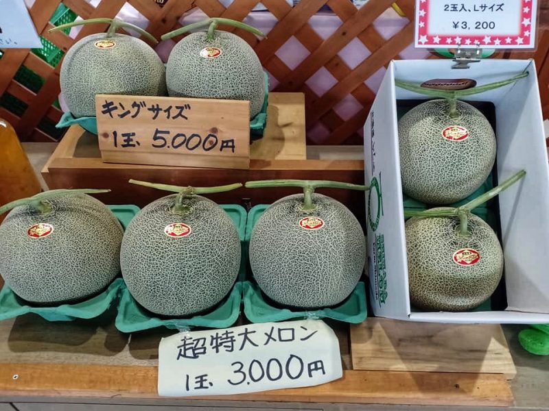 Hokkaido Tomita Melon House