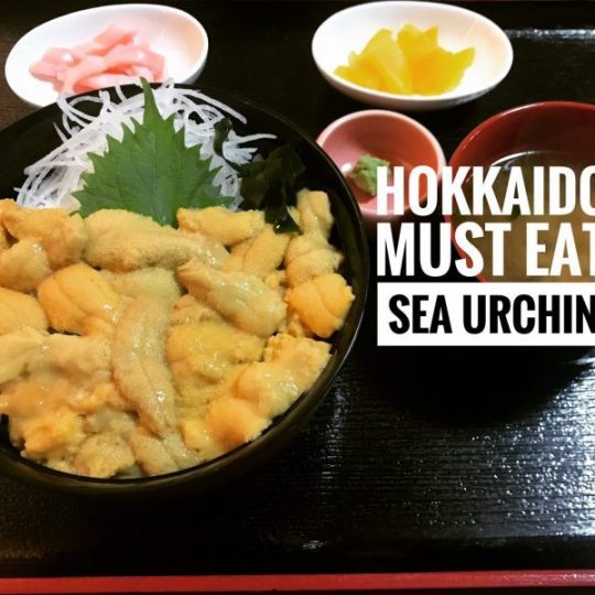 Hokkaido Food Guide: Top 10 Must Eat Food In Hokkaido - MyTravelBuzzg