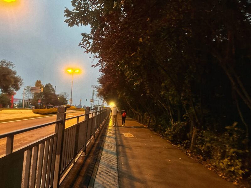 How To Plan Your Visit to Xiongmao Jidi
